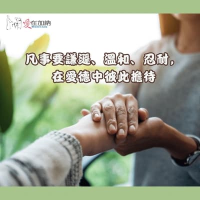 凡事要謙遜、溫和、忍耐，在愛德中彼此擔待