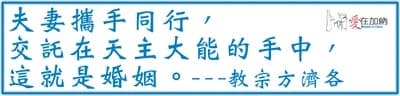 夫妻攜手同行， 交託在天主的手中， 這就是婚姻。 ---教宗方濟各